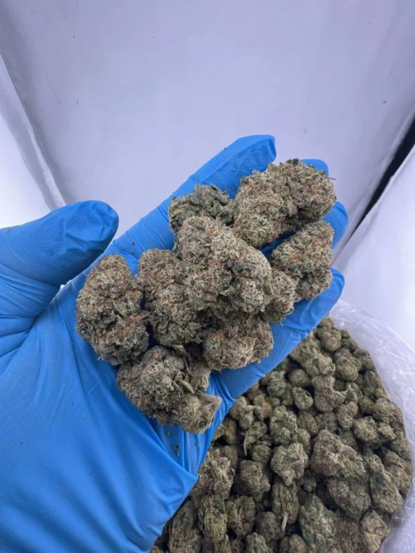 Candy runtz strain