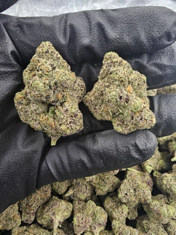 Candy rain strain