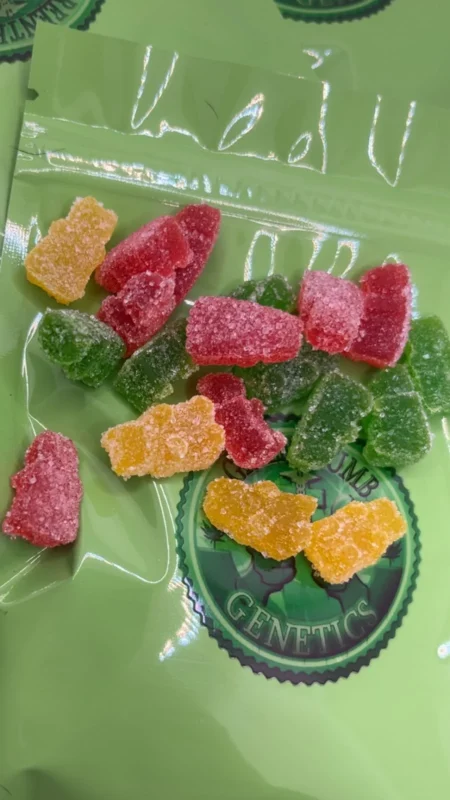 Blue razz gummy bear